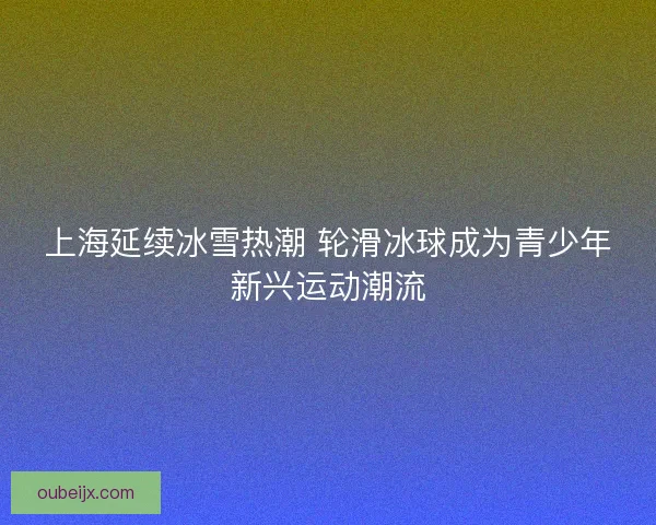 上海延续冰雪热潮 轮滑冰球成为青少年新兴运动潮流