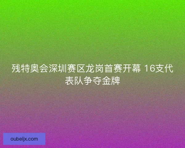残特奥会深圳赛区龙岗首赛开幕 16支代表队争夺金牌