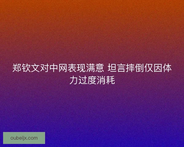 郑钦文对中网表现满意 坦言摔倒仅因体力过度消耗 郑钦文对中网表现满意 坦言摔倒仅因体力过度消耗