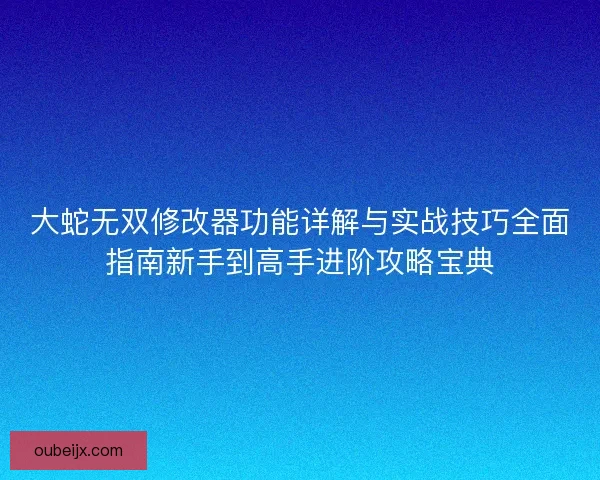 大蛇无双修改器功能详解与实战技巧全面指南新手到高手进阶攻略宝典