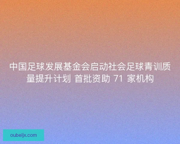 中国足球发展基金会启动社会足球青训质量提升计划 首批资助 71 家机构