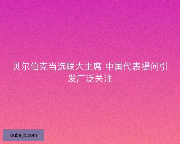 贝尔伯克当选联大主席 中国代表提问引发广泛关注