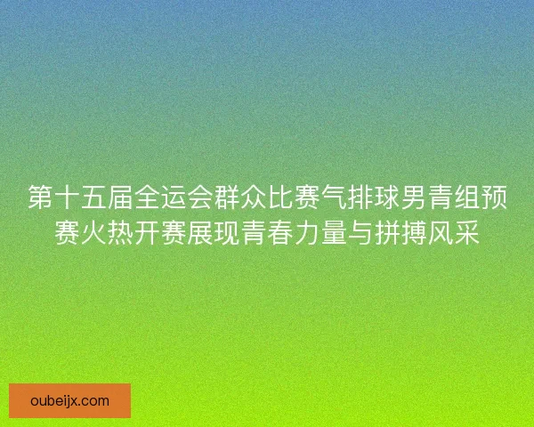 第十五届全运会群众比赛气排球男青组预赛火热开赛展现青春力量与拼搏风采