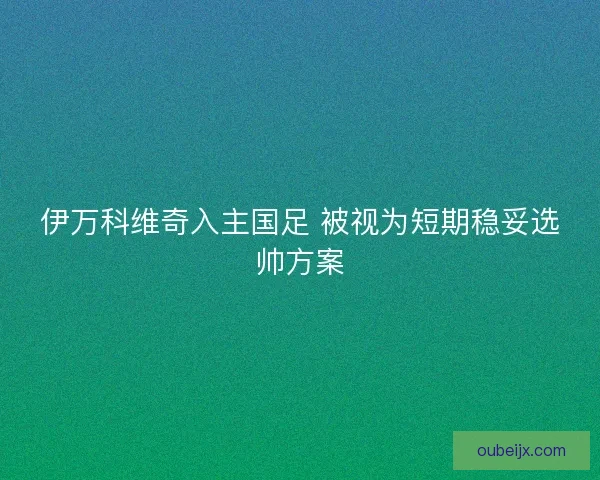 伊万科维奇入主国足 被视为短期稳妥选帅方案